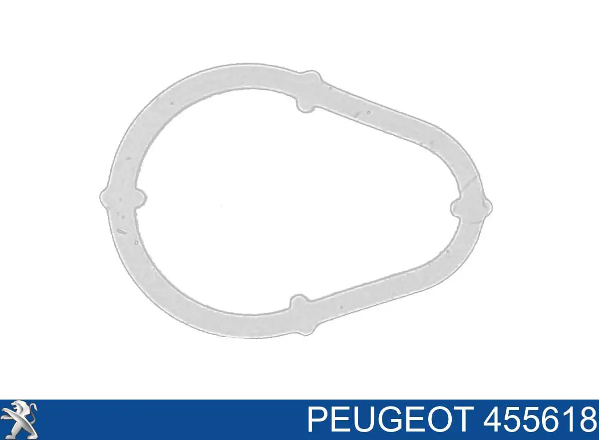 FT50702 Fast Uszczelka pompy próżniowej