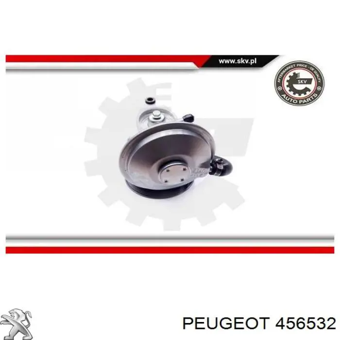 Pompa podciśnienia Peugeot/Citroen 456532 cena, od 187,60 USD
