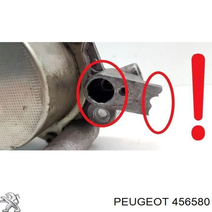 Pompa podciśnienia Peugeot/Citroen 456580 cena, od 66,40 USD