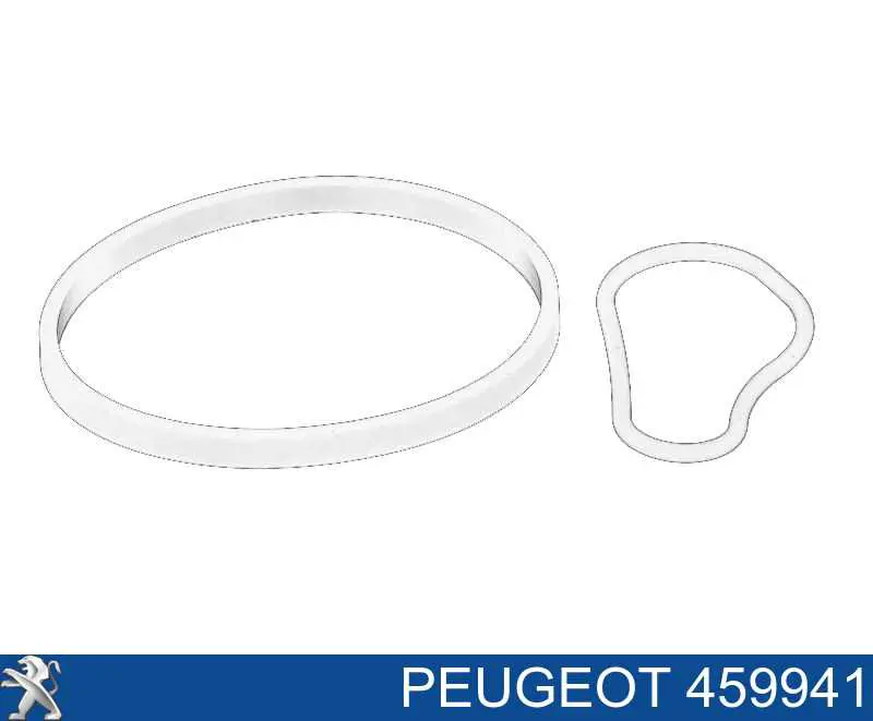 459941 Peugeot/Citroen Uszczelka pompy próżniowej