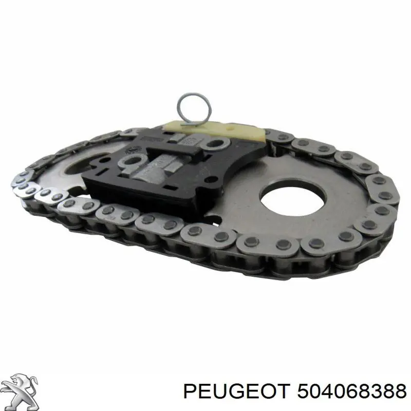 Łańcuch rozrządu do Fiat Ducato II 244