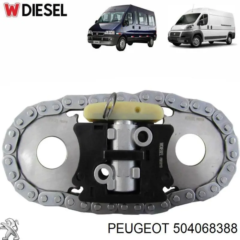 Łańcuch rozrządu Fiat Ducato 2