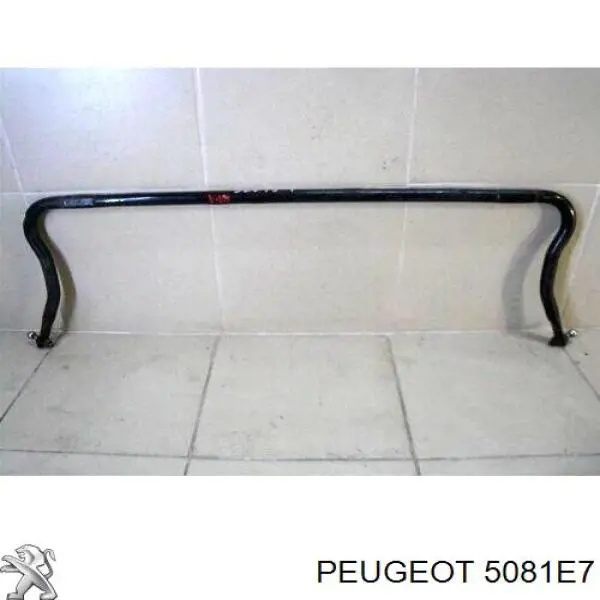 Stabilizator przedni Peugeot 307 hatchback (3A, 3C) (2000 - 2012) cena, od 54,56 USD