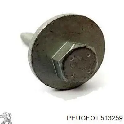 Śruba regulacji tylnego wahacza (dla zbieżności), wewnętrzny Peugeot/Citroen 513259 cena, od 14,75 USD