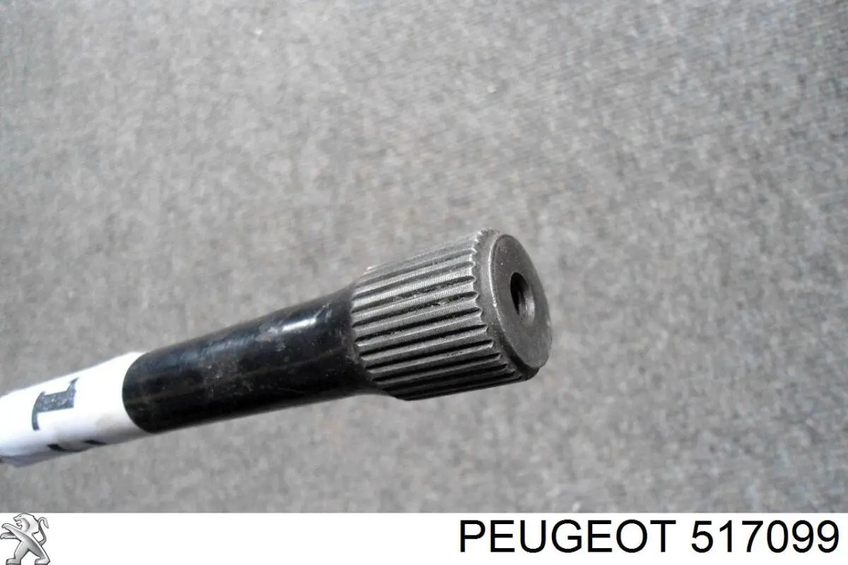 517099 Peugeot/Citroen Stabilizator tylny