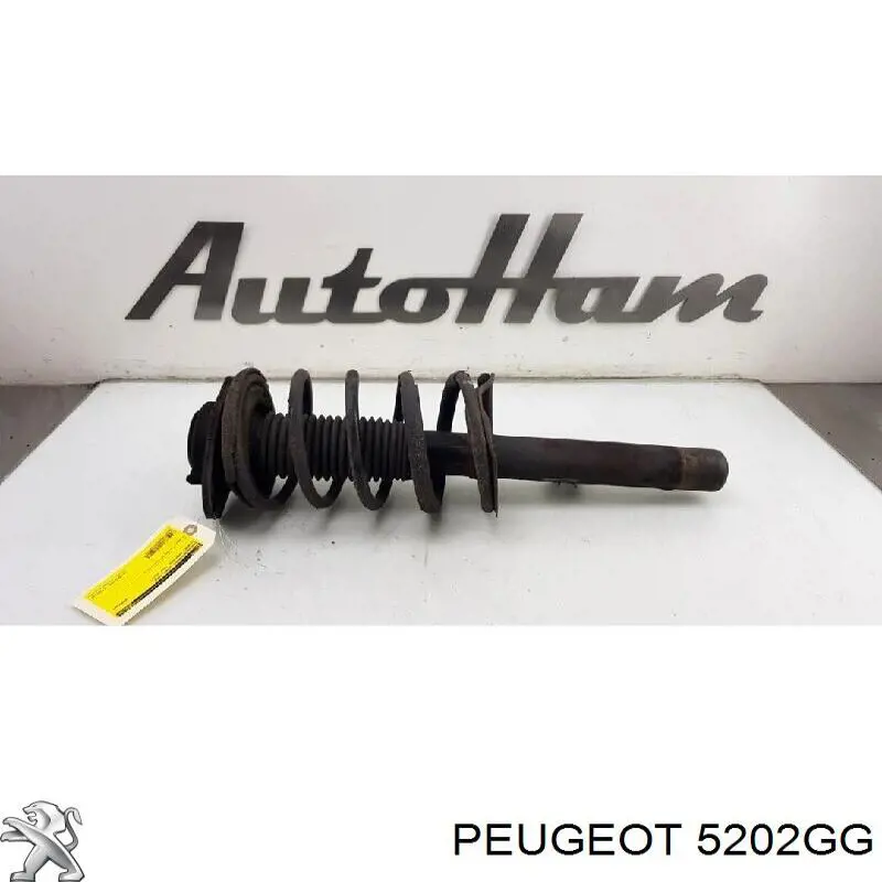 Amortyzator przedni lewy Peugeot/Citroen 5202GG cena, od 56,43 USD