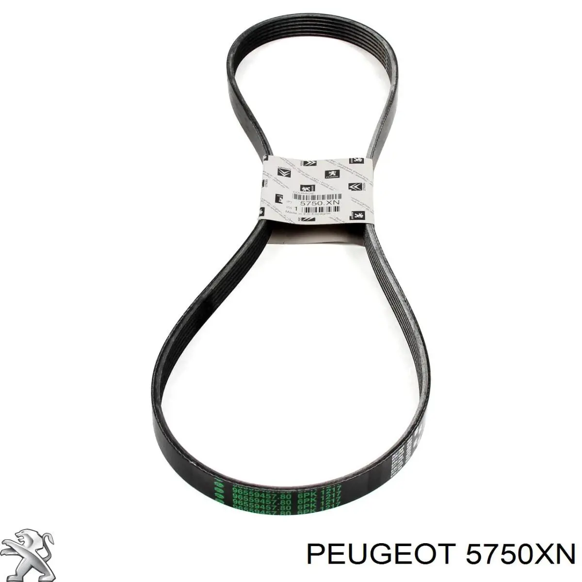 Do koszyka 5750XN Peugeot/Citroen Pas napędowy mechanizmów