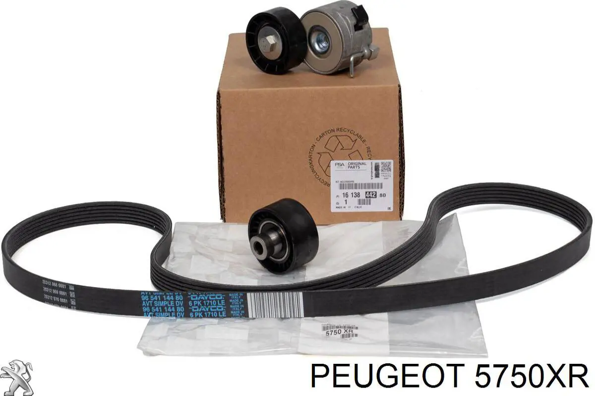 Do koszyka 5750XR Peugeot/Citroen Pas napędowy mechanizmów