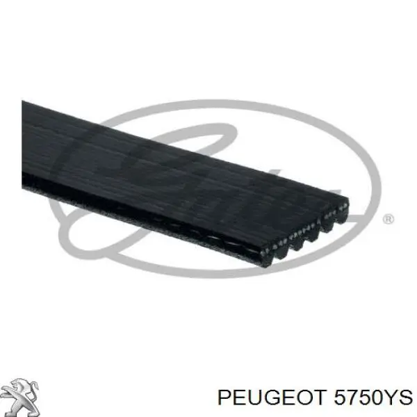 Pas napędowy mechanizmów Peugeot/Citroen 5750YS cena, od 13,18 USD