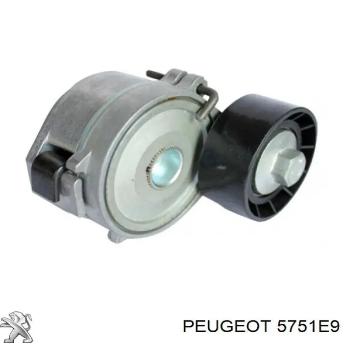 Do koszyka 5751E9 Peugeot/Citroen Napinacz paska napędowego