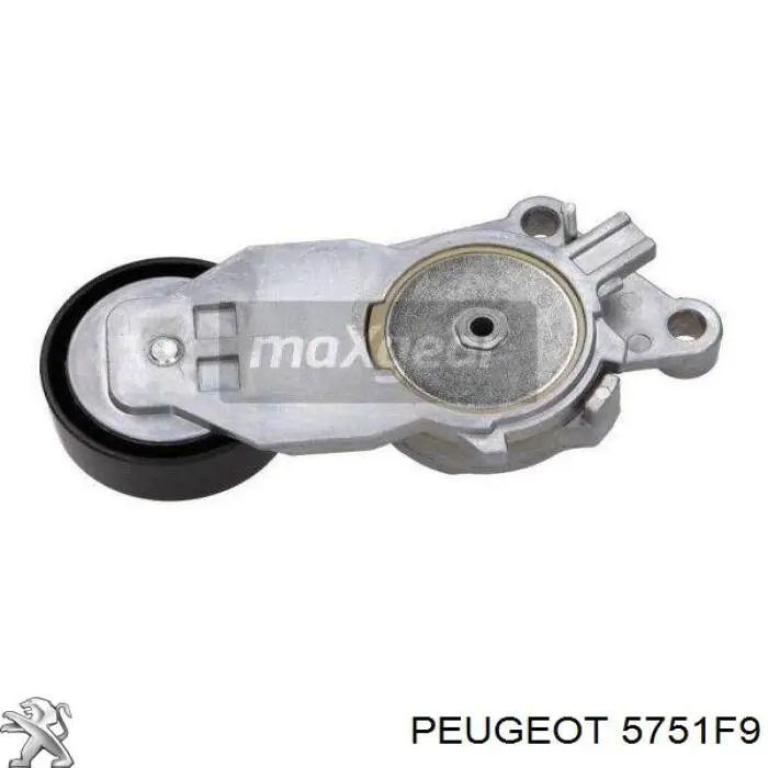 Do koszyka 5751F9 Peugeot/Citroen Napinacz paska napędowego