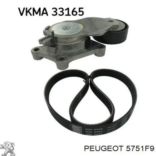 5751F9 Peugeot/Citroen Napinacz paska napędowego