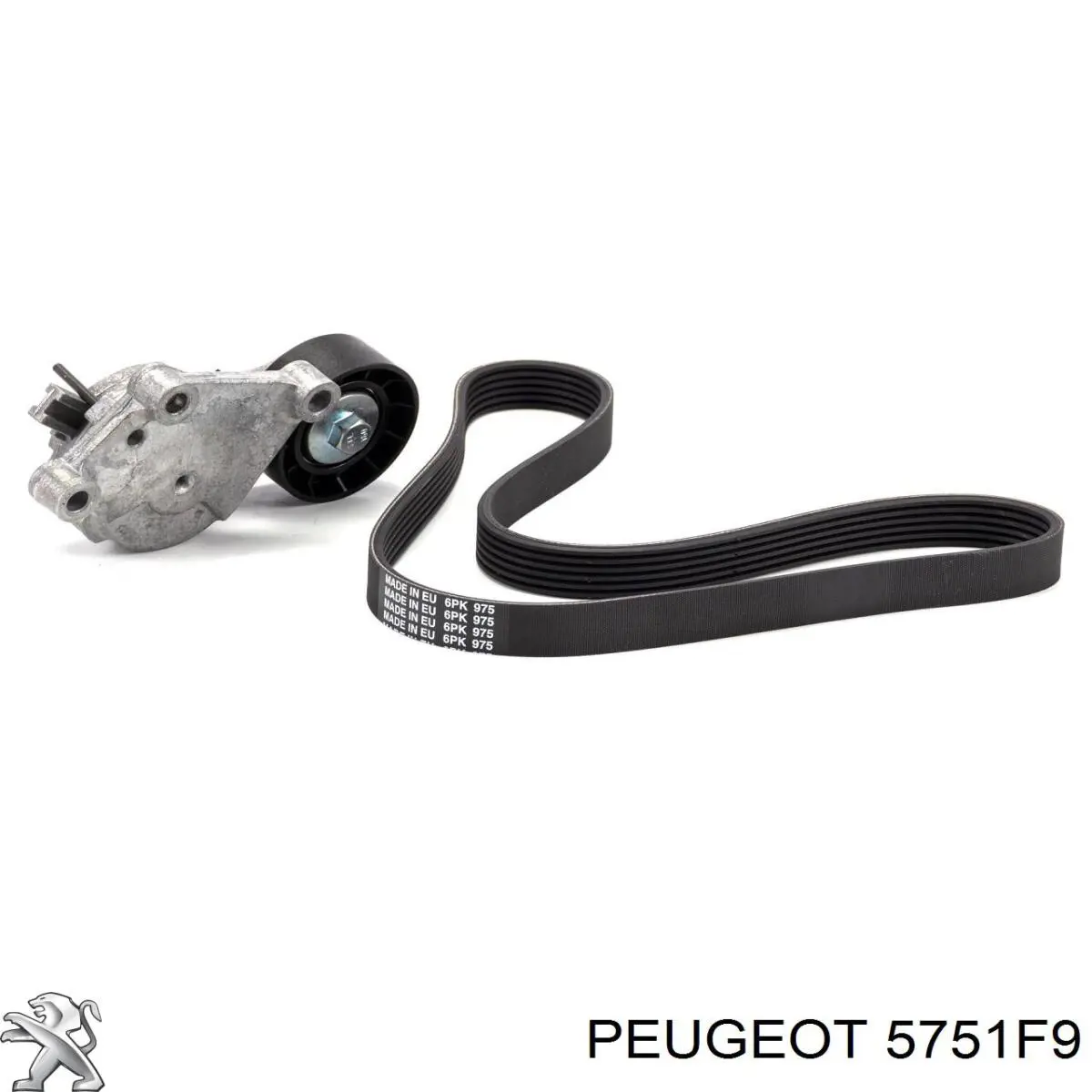 Do koszyka 5751F9 Peugeot/Citroen Napinacz paska napędowego