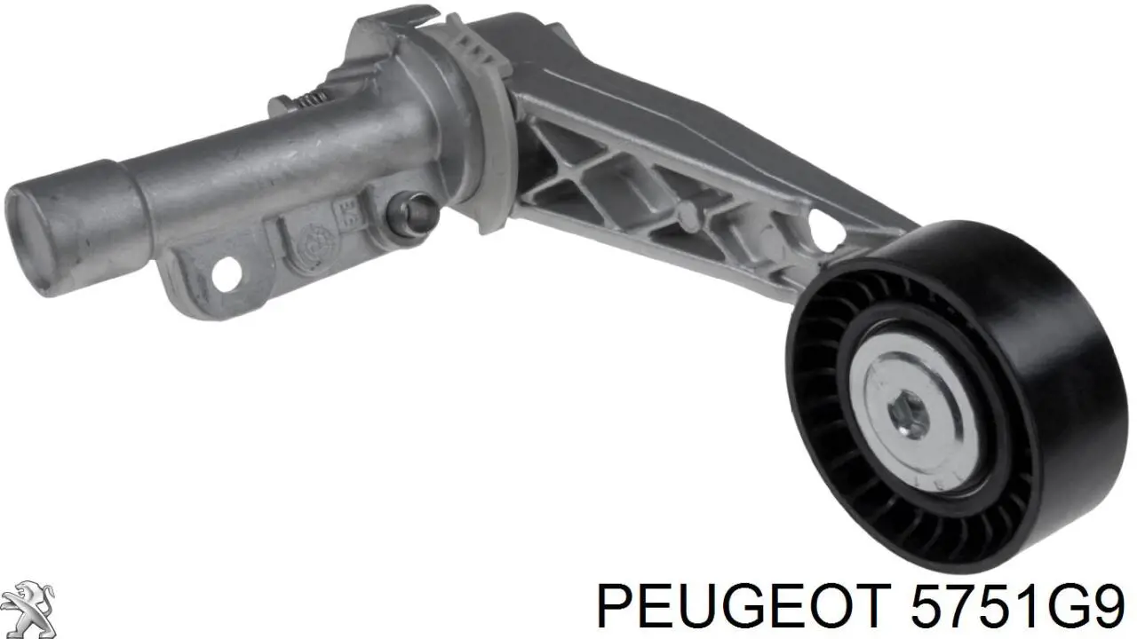 Napinacz paska napędowego Peugeot/Citroen 5751G9 cena, od 20,97 USD