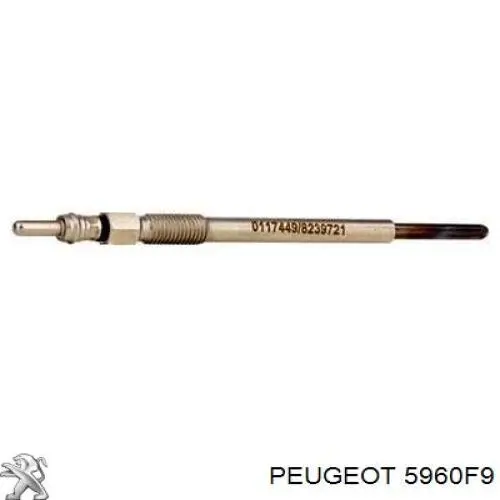 5960F9 Peugeot/Citroen Świeca żarowa