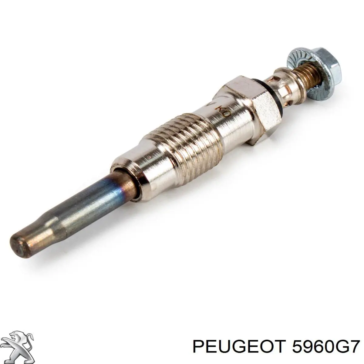 Do koszyka 5960G7 Peugeot/Citroen Świeca żarowa