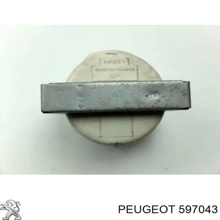 Do koszyka 597043 Peugeot/Citroen Cewka zapłonowa