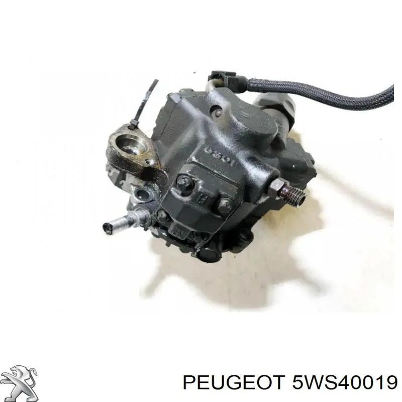 Do koszyka 5WS40019 Peugeot/Citroen Pompa wtryskowa wysokiego ciśnienia