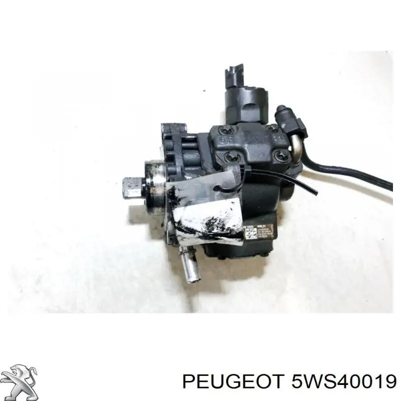 Do koszyka 5WS40019 Peugeot/Citroen Pompa wtryskowa wysokiego ciśnienia