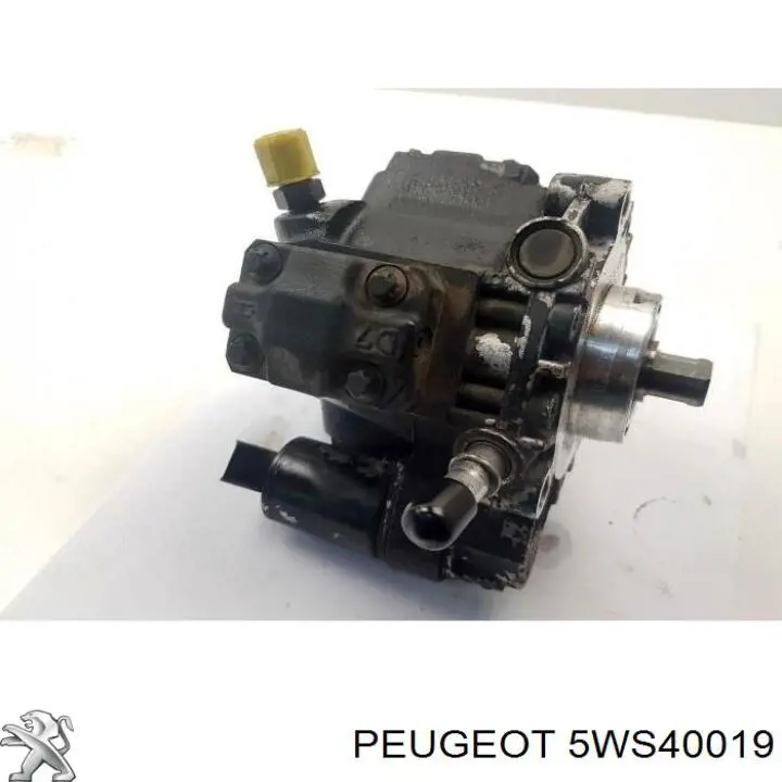 Pompa wtryskowa wysokiego ciśnienia 5WS40019 Peugeot/Citroen