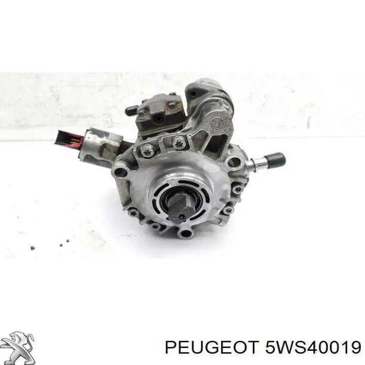  Peugeot/Citroen 5WS40019