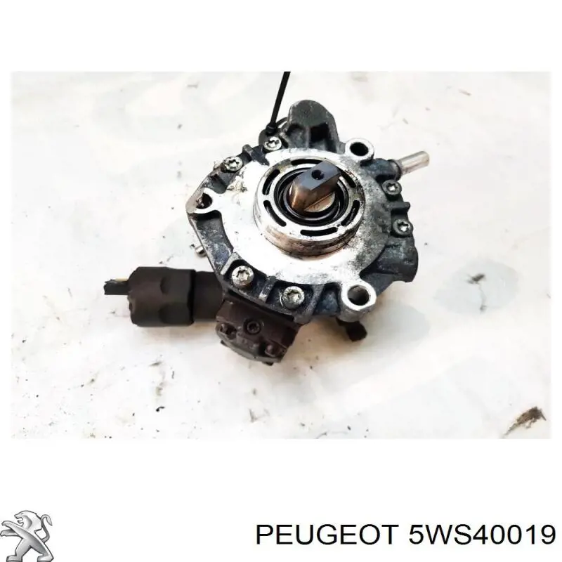Pompa wtryskowa wysokiego ciśnienia 5WS40019 Peugeot/Citroen
