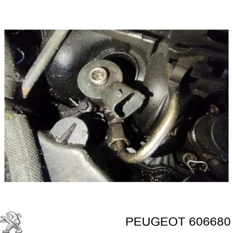 606680 Peugeot/Citroen wtryskiwacz paliwa