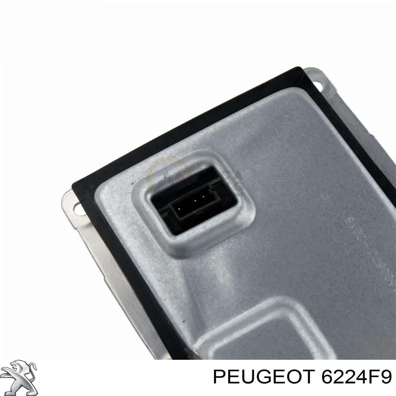 Do koszyka 6224F9 Peugeot/Citroen Ksenon, sterownik