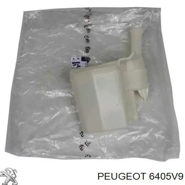 6405V9 Peugeot/Citroen Zbiorniczek spryskiwacza szyb