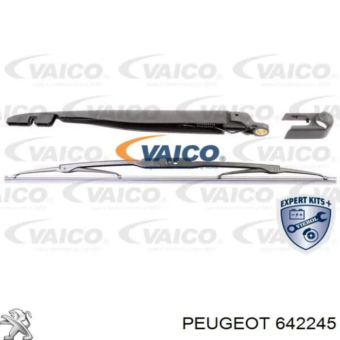 642245 Peugeot/Citroen zaślepka nakrętki mocowania ramienia przedniej wycieraczki