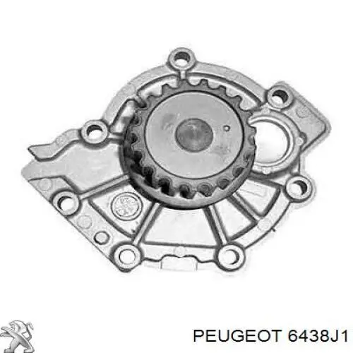 6438J1 Peugeot/Citroen Dysza spryskiwacza szyby przedniej