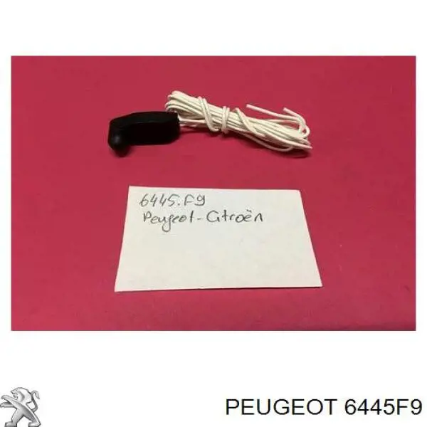 Do koszyka 6445F9 Peugeot/Citroen Czujnik temperatury zewnętrznej