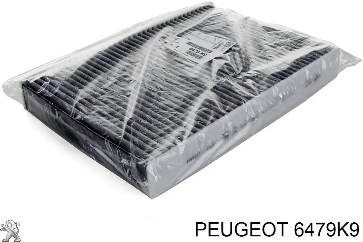 Do koszyka 6479K9 Peugeot/Citroen Filtr kabiny