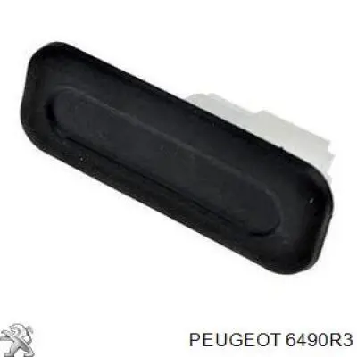 Klamka bagażnika (drzwi 3/5 tylnych) zewnętrzna Peugeot/Citroen 6490R3 cena, od 16,67 USD