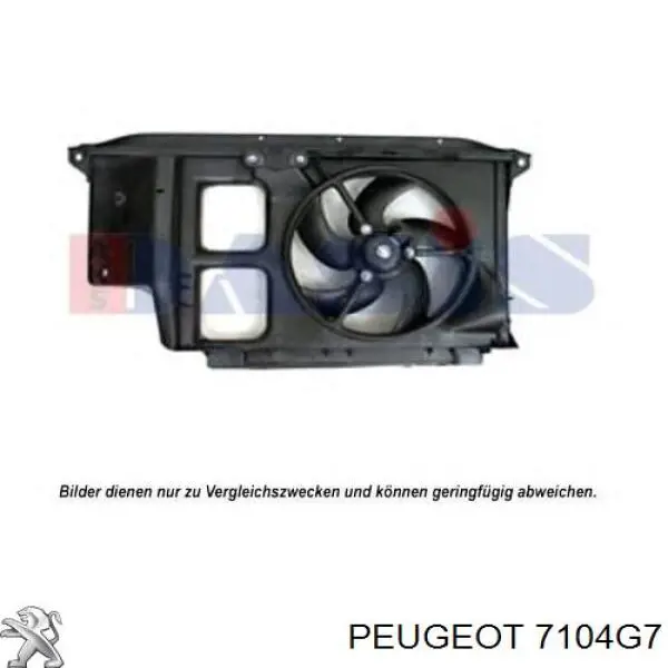 Osłona chłodnicy kompletna (panel mocowania reflektorów) Peugeot/Citroen 7104G7 cena, od 87,47 USD