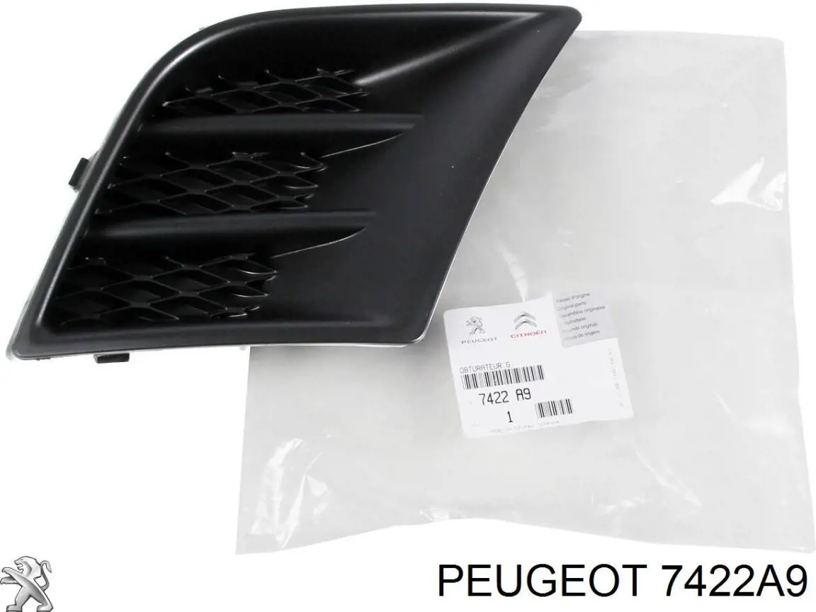 Zaślepka (kratki) lamp przeciwmgielnych zderzaka przedniego lewa Peugeot 107 