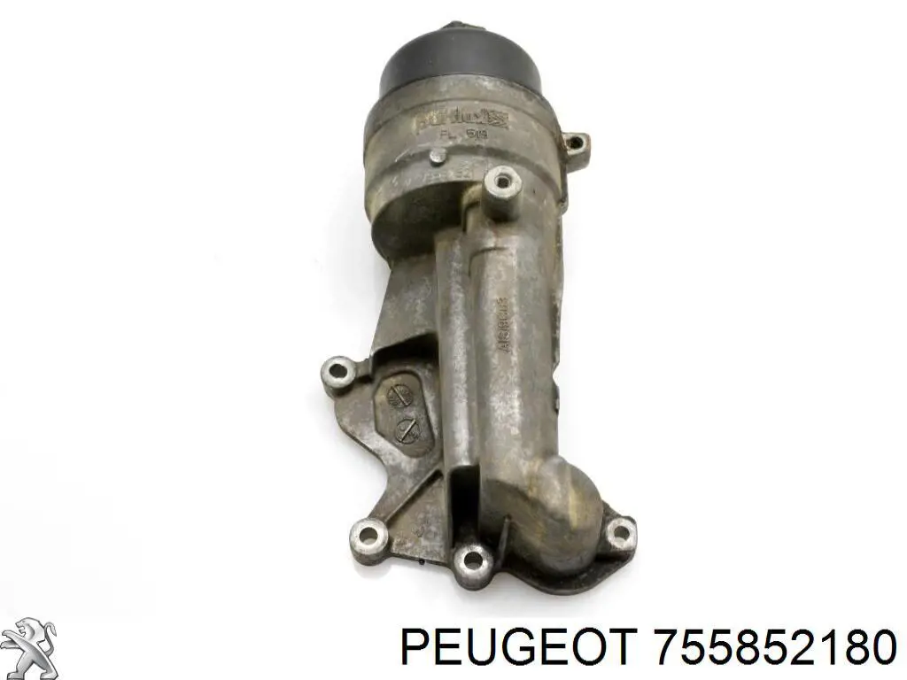 755852180 Peugeot/Citroen Obudowa filtra oleju