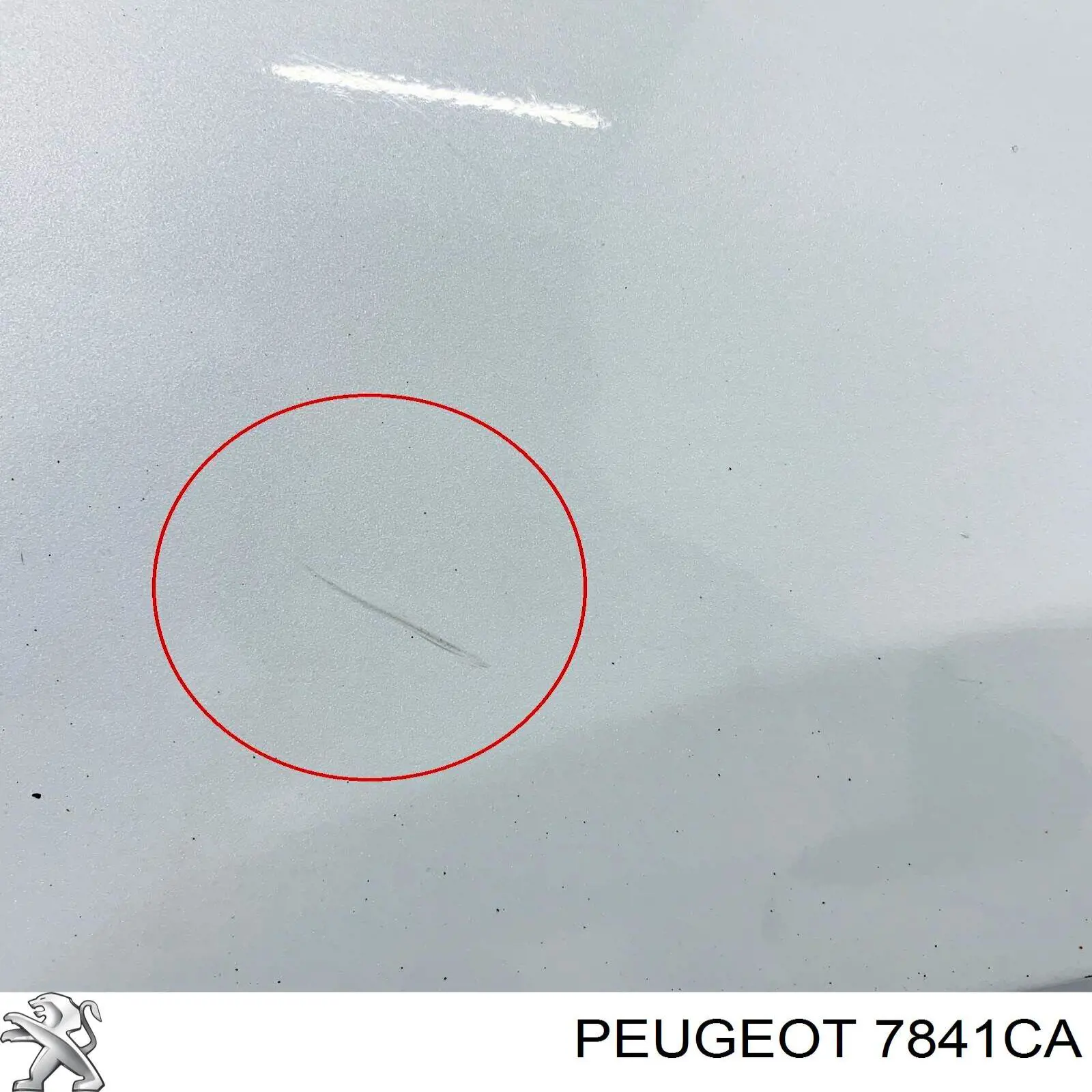 Błotnik przedni prawy Peugeot/Citroen 7841CA cena, od 223,04 USD