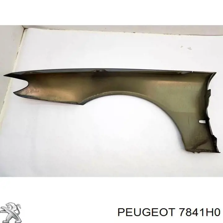 Błotnik przedni prawy do Peugeot 406  8C