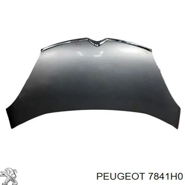 Błotnik przedni prawy Peugeot 406 coupe (8C) (1997 - 2004) cena, od 138,74 USD