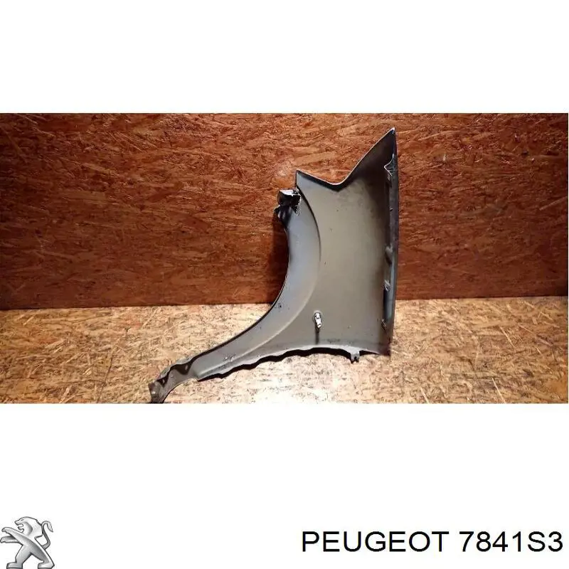 Do koszyka Błotnik przedni prawy Citroen C3 I FC