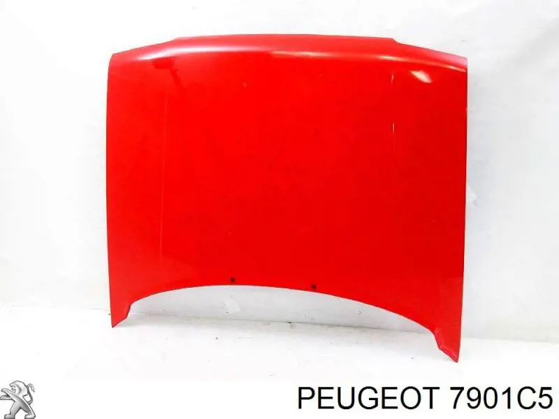 Maska silnika do Peugeot 205 II 20A, C