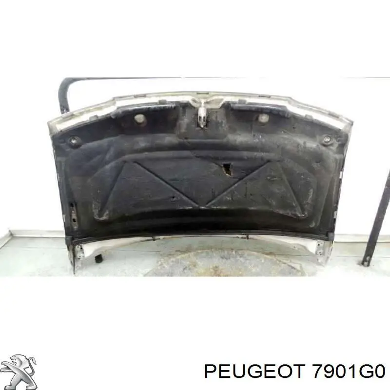 7901G0 Peugeot/Citroen Maska silnika