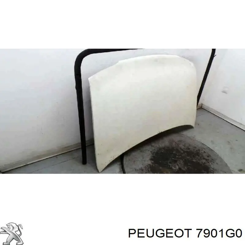 Maska silnika Peugeot/Citroen 7901G0 cena, od 234,47 USD