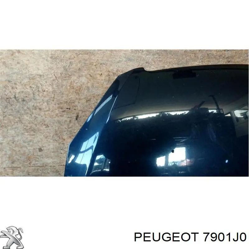 Maska silnika Peugeot/Citroen 7901J0 cena, od 149,83 USD