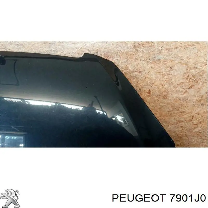 Do koszyka 7901J0 Peugeot/Citroen Maska silnika