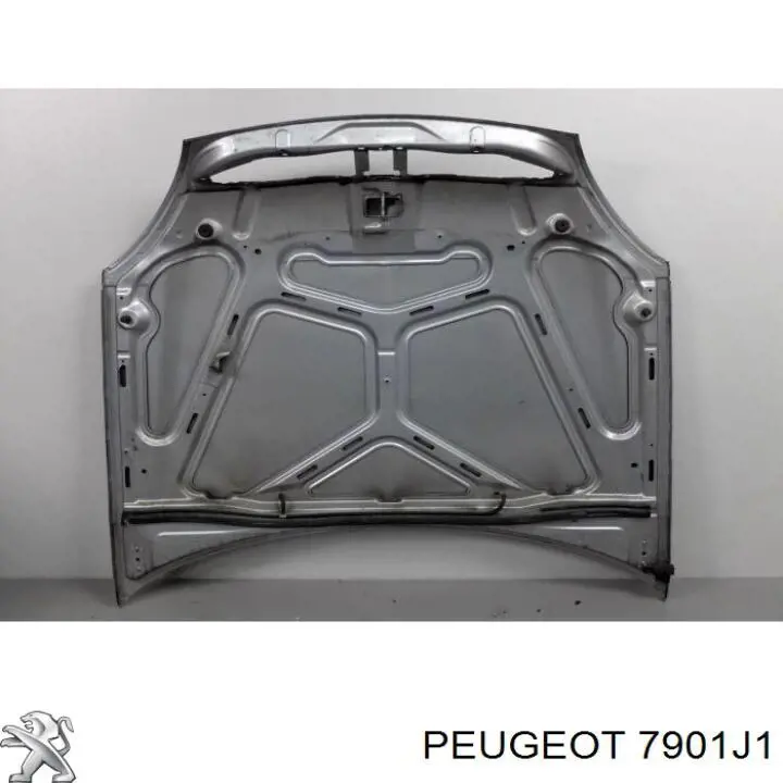 Maska silnika Peugeot/Citroen 7901J1 cena, od 204,31 USD