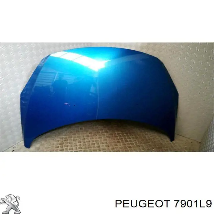7901L9 Peugeot/Citroen Maska silnika