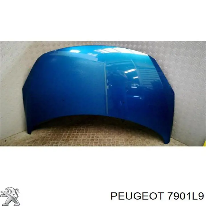 Maska silnika Peugeot/Citroen 7901L9 cena, od 149,83 USD