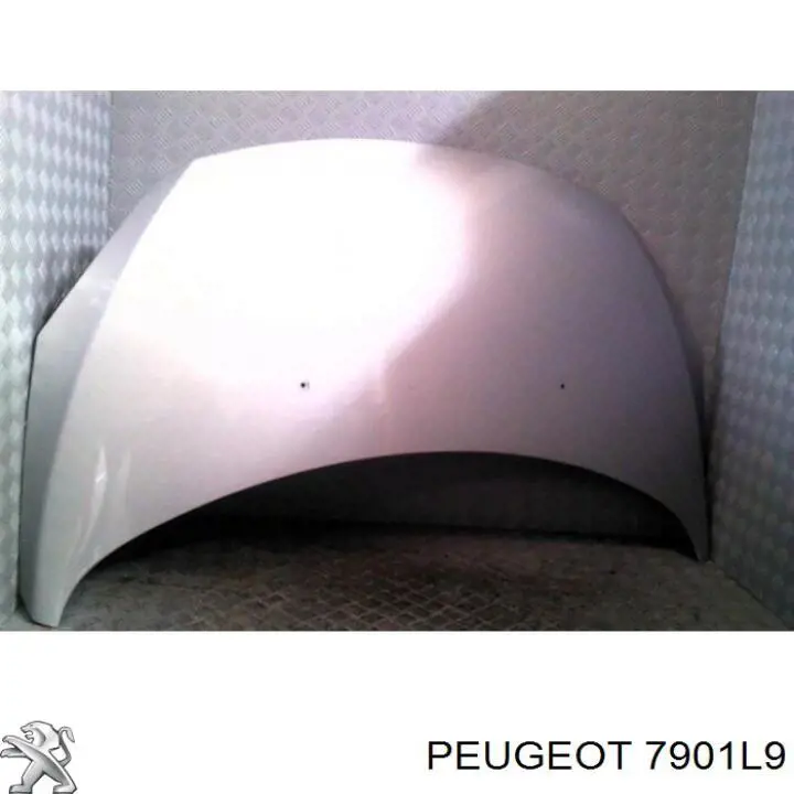 Do koszyka 7901L9 Peugeot/Citroen Maska silnika